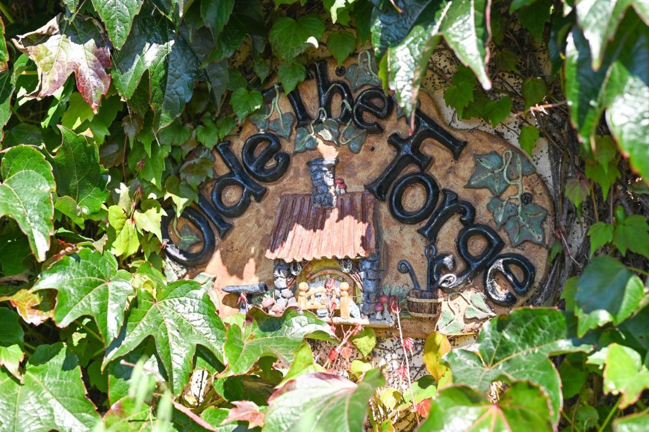 The Olde Forge B & B แคร์เดเนียล ภายนอก รูปภาพ
